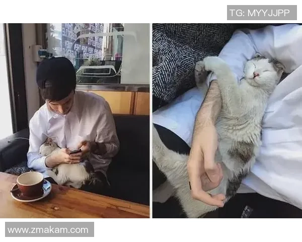 球星与猫狗共踢足球 亲子互动新玩法引爆体育圈热潮 球星与猫狗共踢足球 亲子互动新玩法引爆体育圈热潮